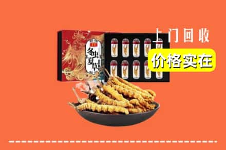 厦门翔安区回收虫草